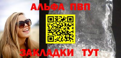 индика Кингисепп