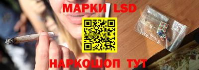 индика Кингисепп