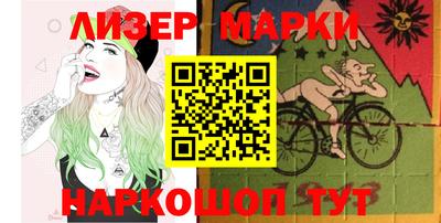 индика Кингисепп
