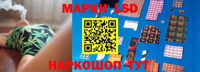 индика Кингисепп