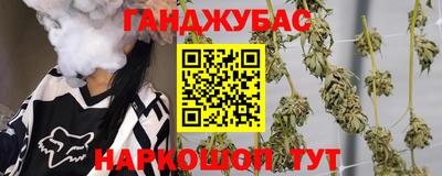 индика Кингисепп