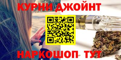 индика Кингисепп