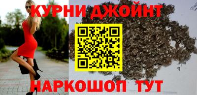 индика Кингисепп