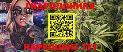 индика Кингисепп