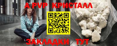 индика Кингисепп