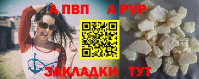 индика Кингисепп