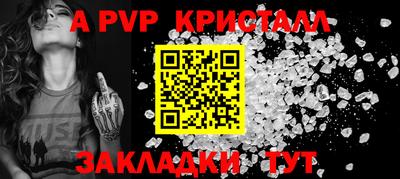 индика Кингисепп