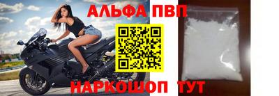индика Кингисепп