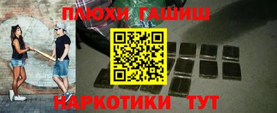индика Кингисепп