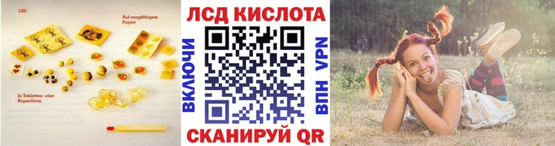 как найти наркотики  Заволжье  KRAKEN как зайти  ЛСД экстази кислота 