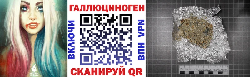 Галлюциногенные грибы Psilocybine cubensis  Заволжье 