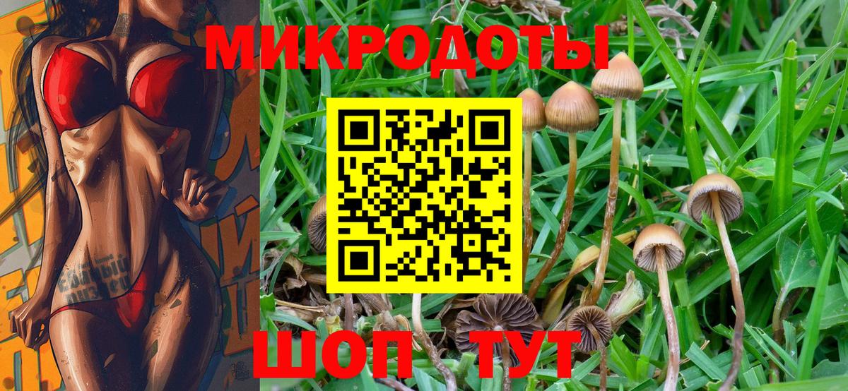 Заволжье  Псилоцибиновые грибы GOLDEN TEACHER  Вход с VPN  Псилоцибиновые грибы Cubensis 