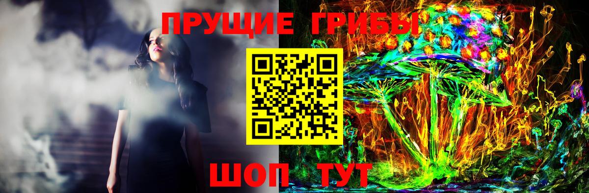 Псилоцибиновые грибы Psilocybe Заволжье